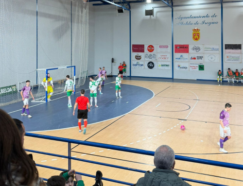 EMAITZA SENDOA, PARTIDA MOTELA