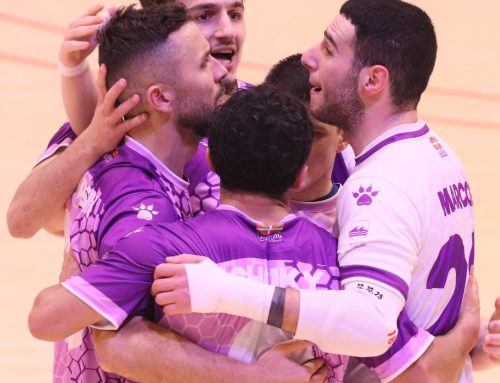 TRAMO FINAL DE INFARTO